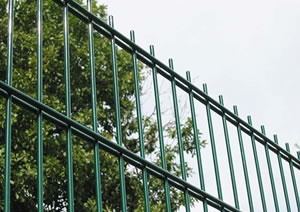 Double Wire Fence
